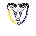 Motor Lublin Logo