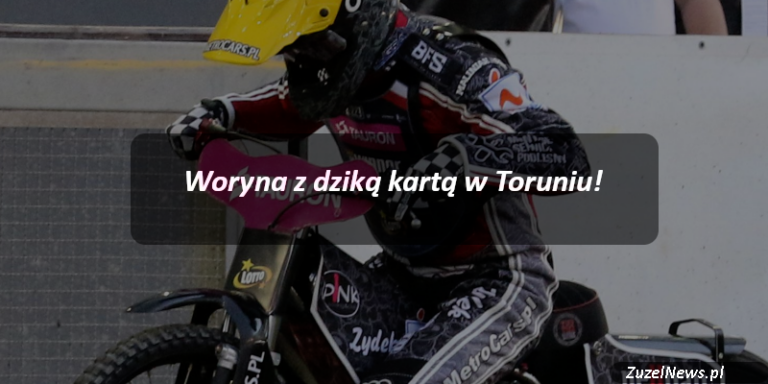 Woryna z dzika kartą w Toruniu