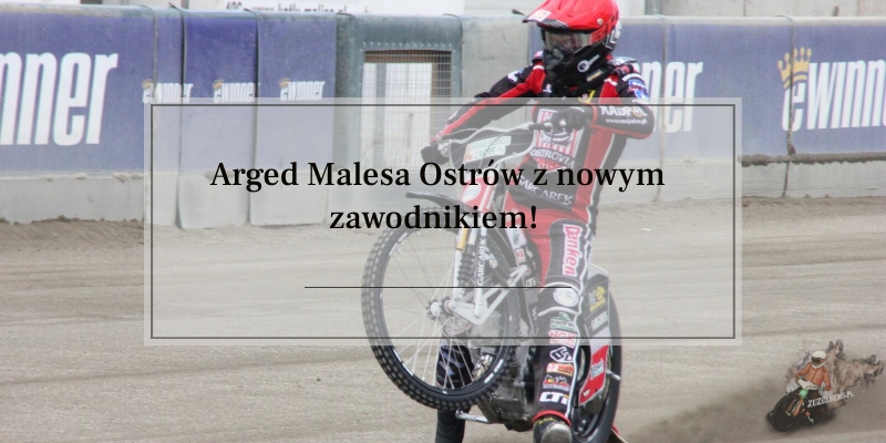 Arged Malesa Ostrów z nowym zawodnikiem